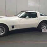 FB_IMG_1710741046510