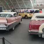 FB_IMG_1710741134351
