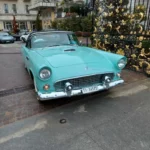 IMG-20240310-WA0017