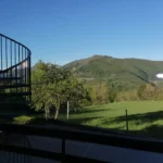 IMG-20240505-WA0017