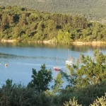 IMG-20240610-WA0020