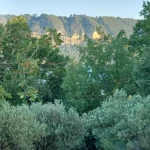 IMG-20240610-WA0023