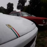 IMG-20240908-WA0119