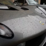 IMG-20240908-WA0125