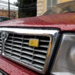 IMG-20240908-WA0127