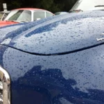 IMG-20240908-WA0136
