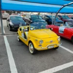 IMG-20240921-WA0026