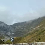 IMG-20240922-WA0113
