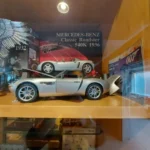 IMG-20250223-WA0008