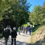 IMG-20260927-WA0184